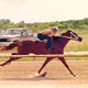 Illustration for article titled Stupid Child Labor Laws Ruining American Horse Racing